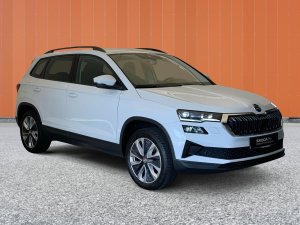 Skoda Karoq 2.0 TDI CR Style 4x4 DSG