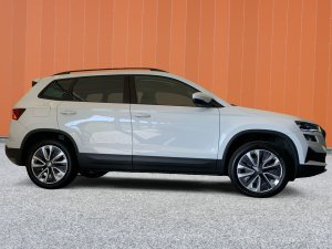 Skoda Karoq 2.0 TDI CR Style 4x4 DSG